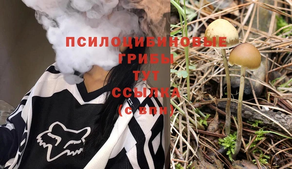 кокс Алексеевка